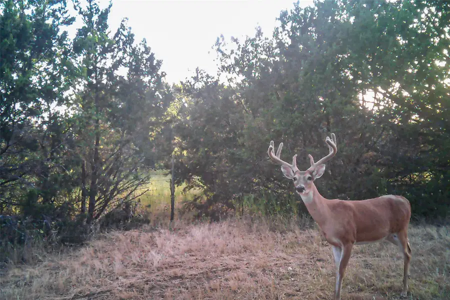 2998 Straws Mill Road, Gatesville, TX 76528 - #2