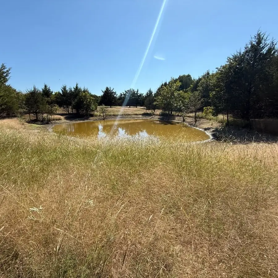 18081 Burden Ranch, Farmersville, TX 75442 - #2