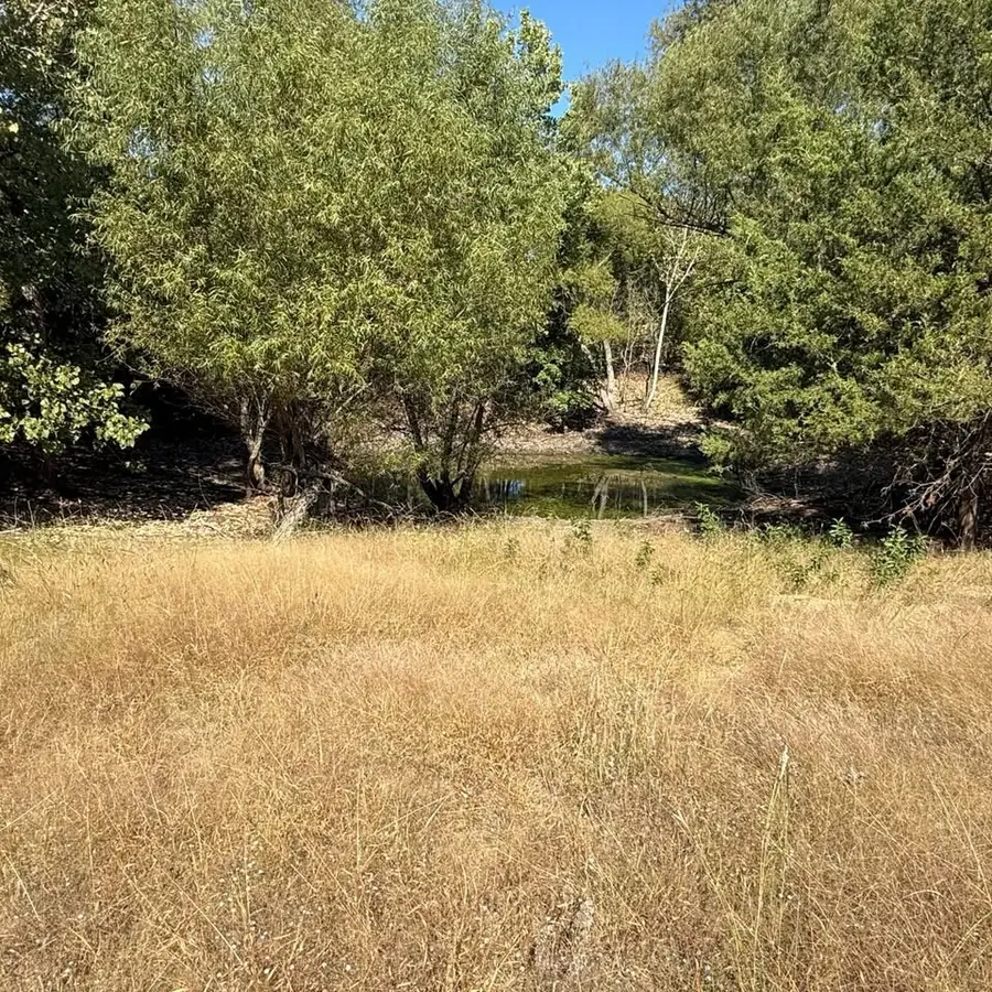 18081 Burden Ranch, Farmersville, TX 75442 - #3