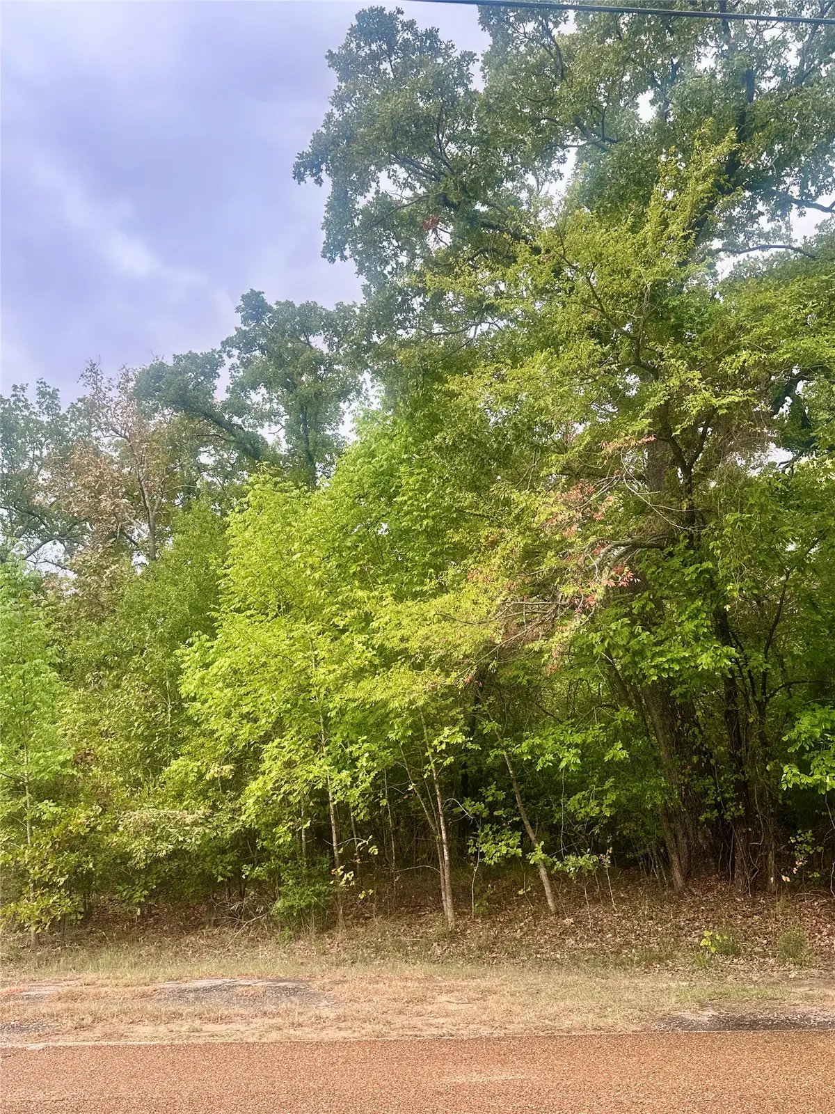 0 Alamo Road, Log Cabin, TX 75148 - #1