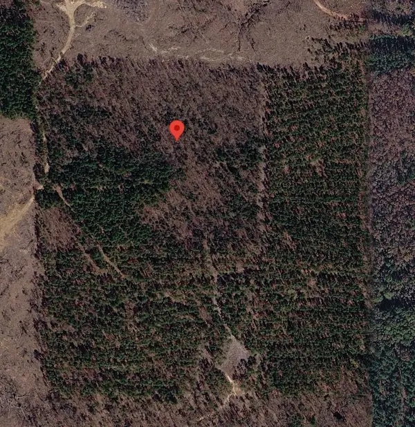 Tract 3 County Road 3769, Queen City, TX 75572