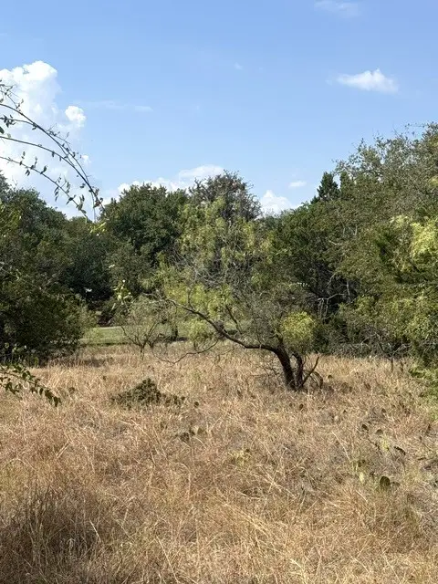 16037 Faircrest Drive, Whitney, TX 76692 - #2