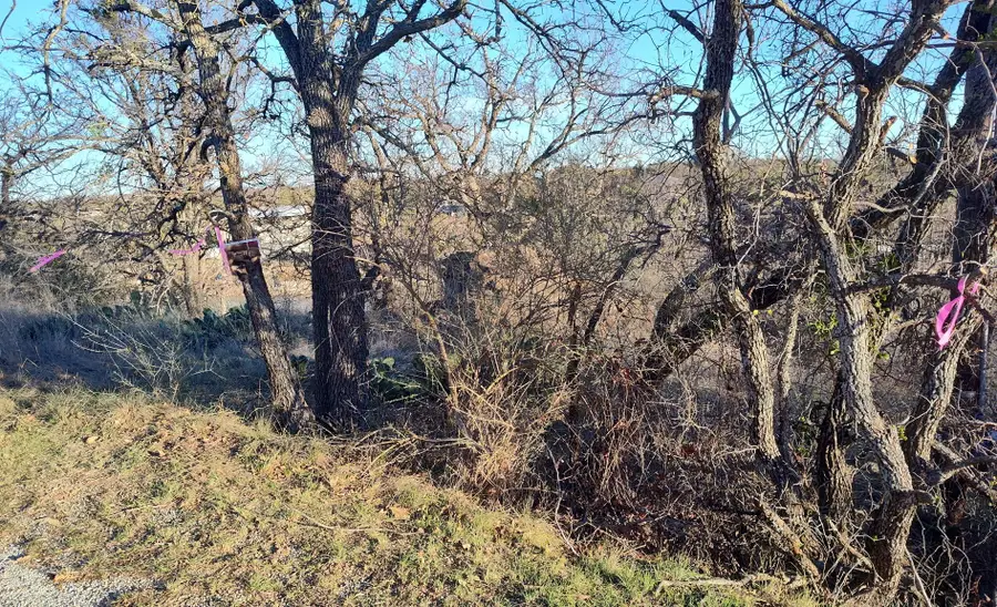 56 Brook Valley Drive, May, TX 76857 - #3