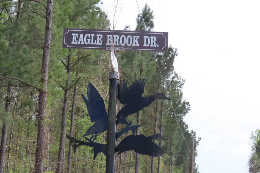 19-20 N Eagle Brook Drive, Lewisville, AR 71845 - #3