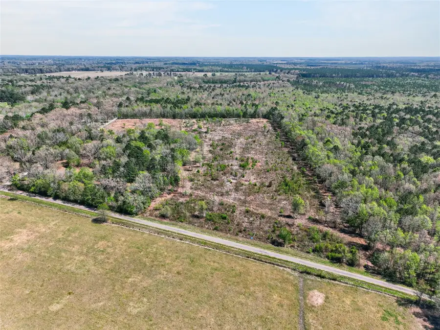 14 +/- Acres County Road 4223, Simms, TX 75574 - #2