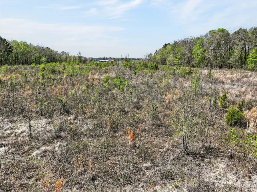14 +/- Acres County Road 4223, Simms, TX 75574 - #3