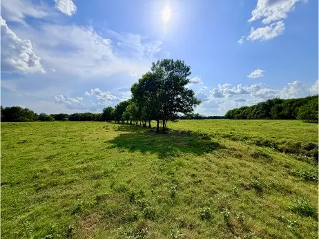 TBD Cr 2145, Cooper, TX 75432