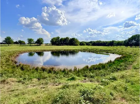 TBD Cr 2145, Cooper, TX 75432 - #3
