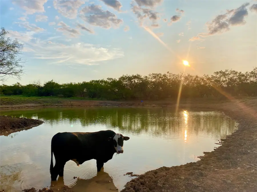 TBD 212 Acres Cr 498, Goldsboro, TX 79519 - #3