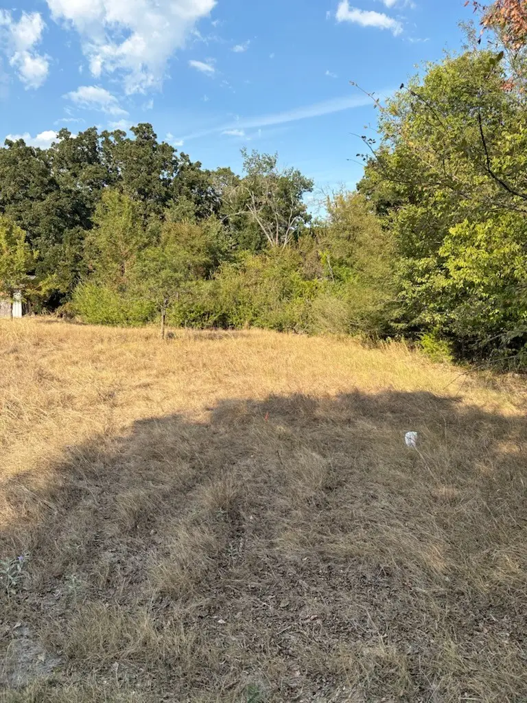 3744 NW County Road, Purdon, TX 76679 - #1