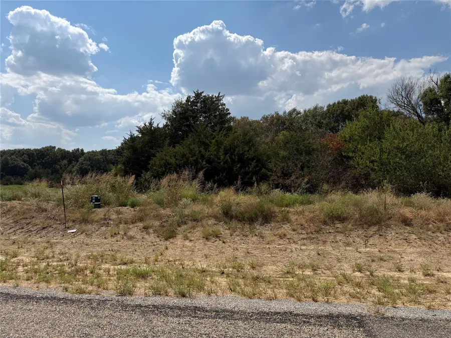 Lot 11 Co Rd 1110, Farmersville, TX 75442 - #2