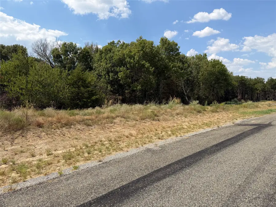 Lot 11 Co Rd 1110, Farmersville, TX 75442 - #3