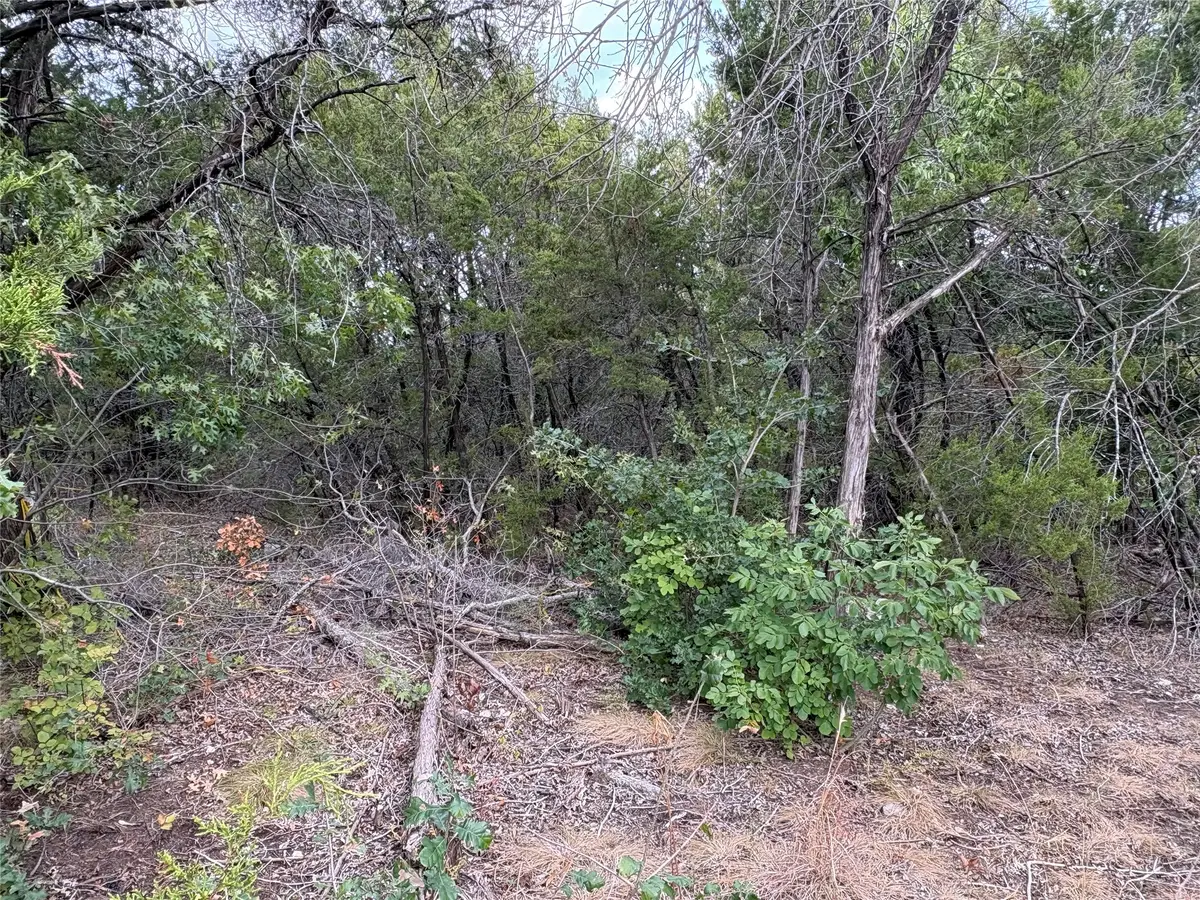 4426 W Oak Trail, Granbury, TX 76048 - #1