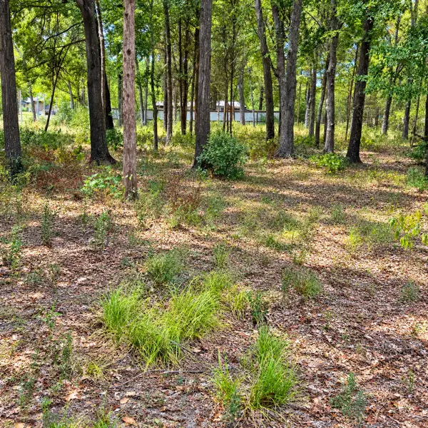0000 Tbd W. Moss Street, Malakoff, TX 75148