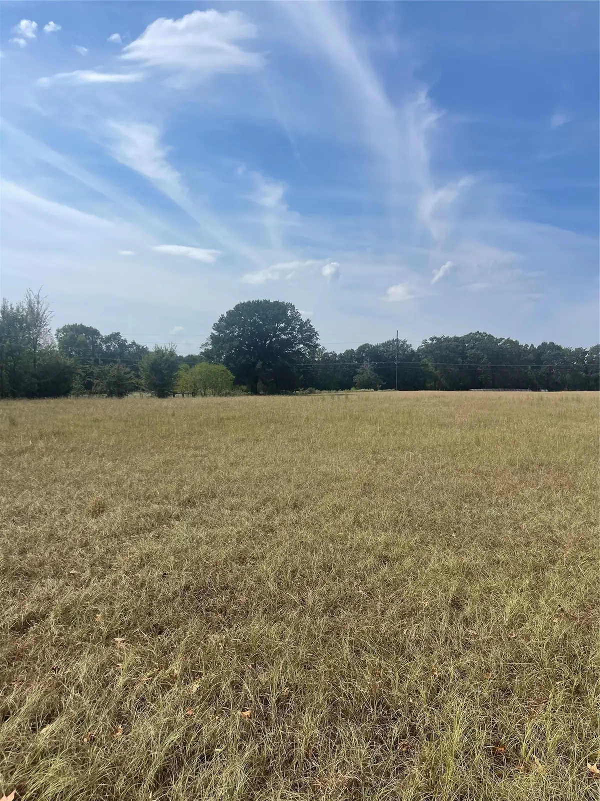 LOT 7 County Road 1560, Alba, TX 75410 - #1