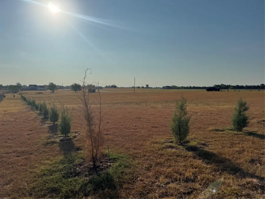 115 County Road 4524 Street, Whitewright, TX 75491 - #3