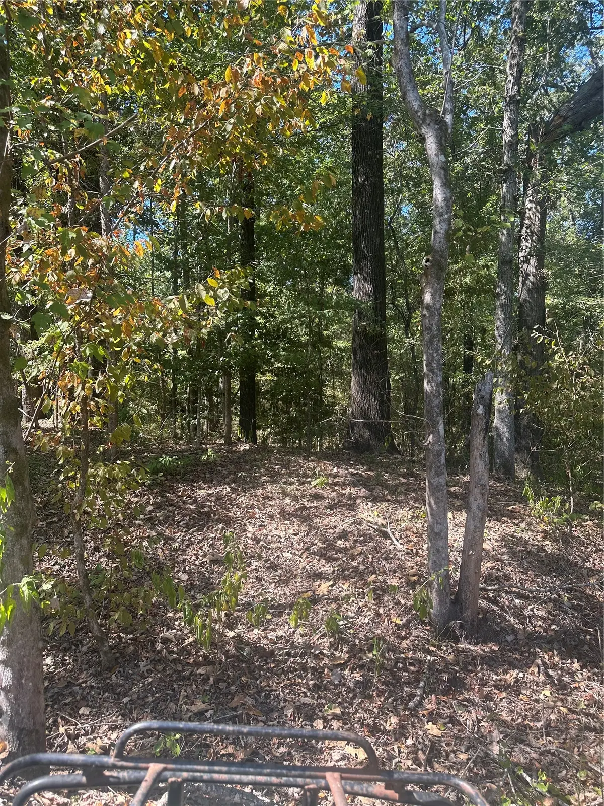 394 Denmon Road, Sarepta, LA 71071 - #1