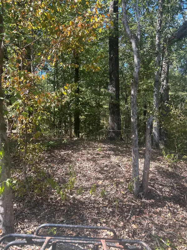 394 Denmon Road, Sarepta, LA 71071