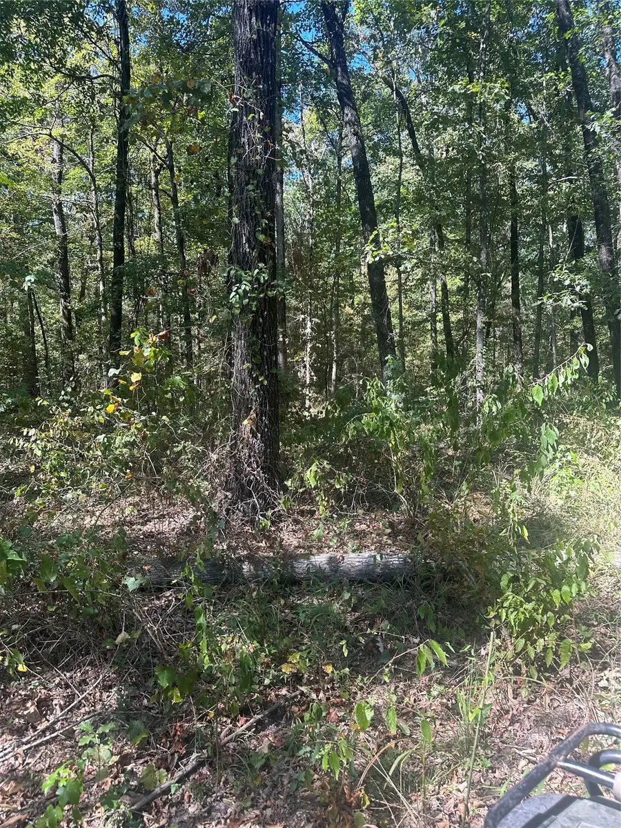 394 Denmon Road, Sarepta, LA 71071 - #2