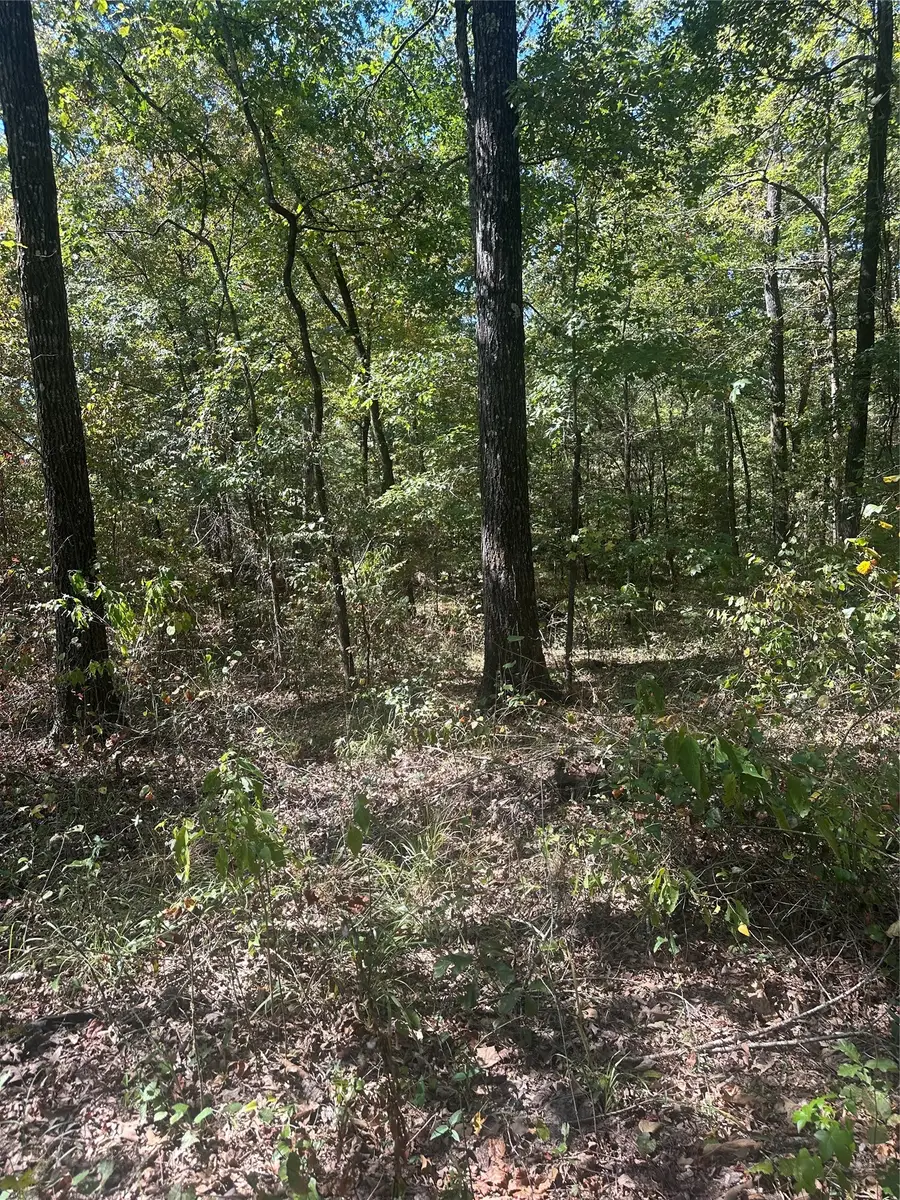 394 Denmon Road, Sarepta, LA 71071 - #3