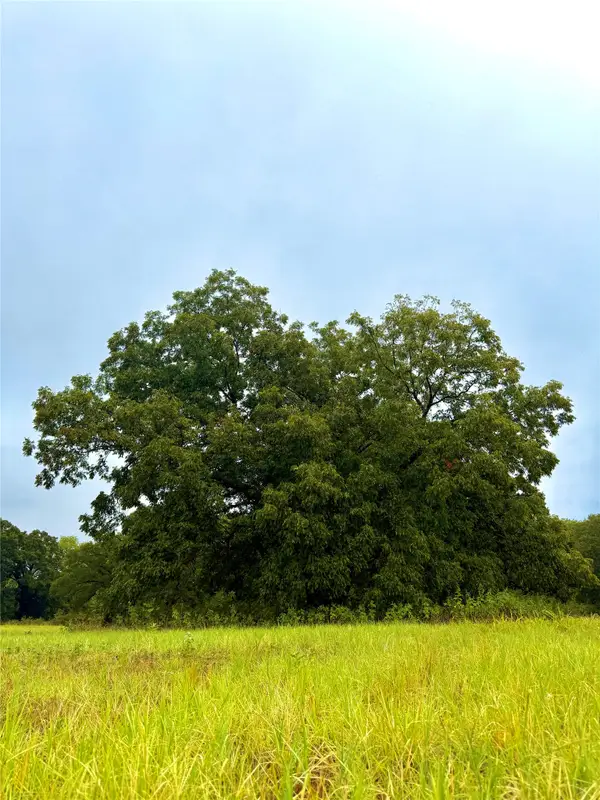 TBD Tract D Fm 513 Tx, Point, TX 75453