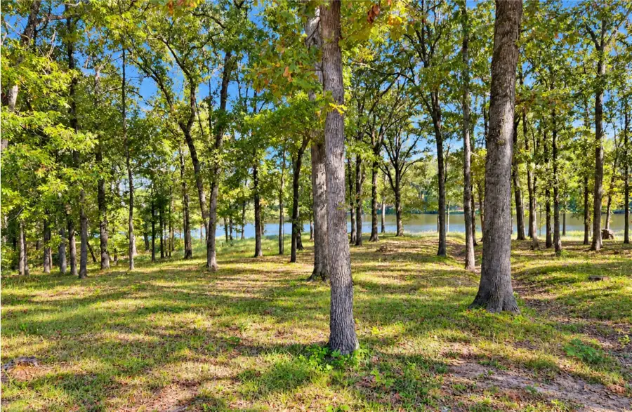 Lot 55 Private Road 52415, Leesburg, TX 75451 - #2