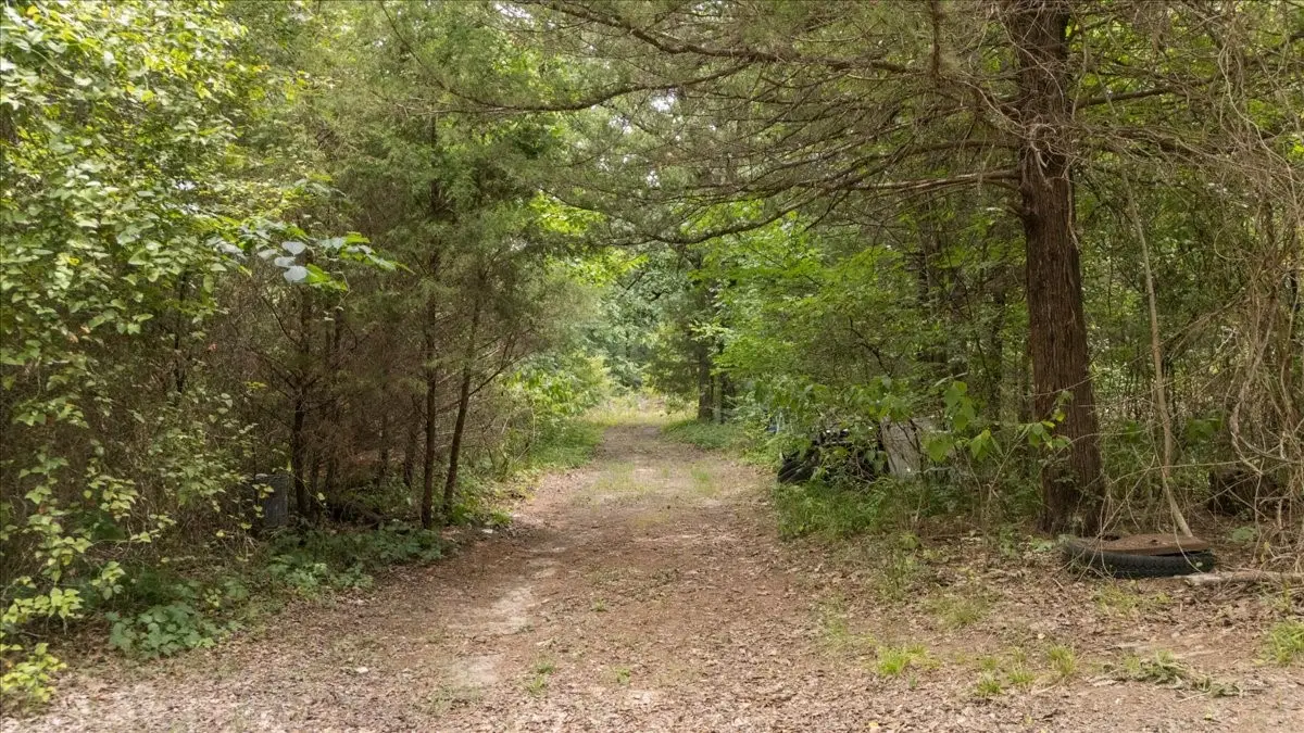 404 Pr 6227, Canton, TX 75103 - #1