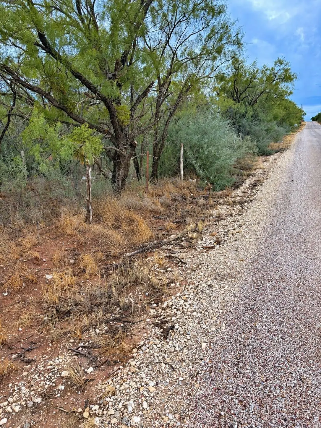 TBD Cr 107, Trent, TX 79561 - #1