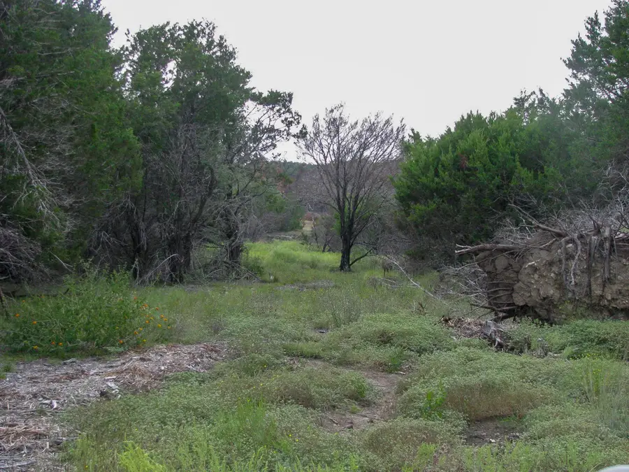 Lot 102 Ph 6 Private Road 42101, Evant, TX 76525 - #2