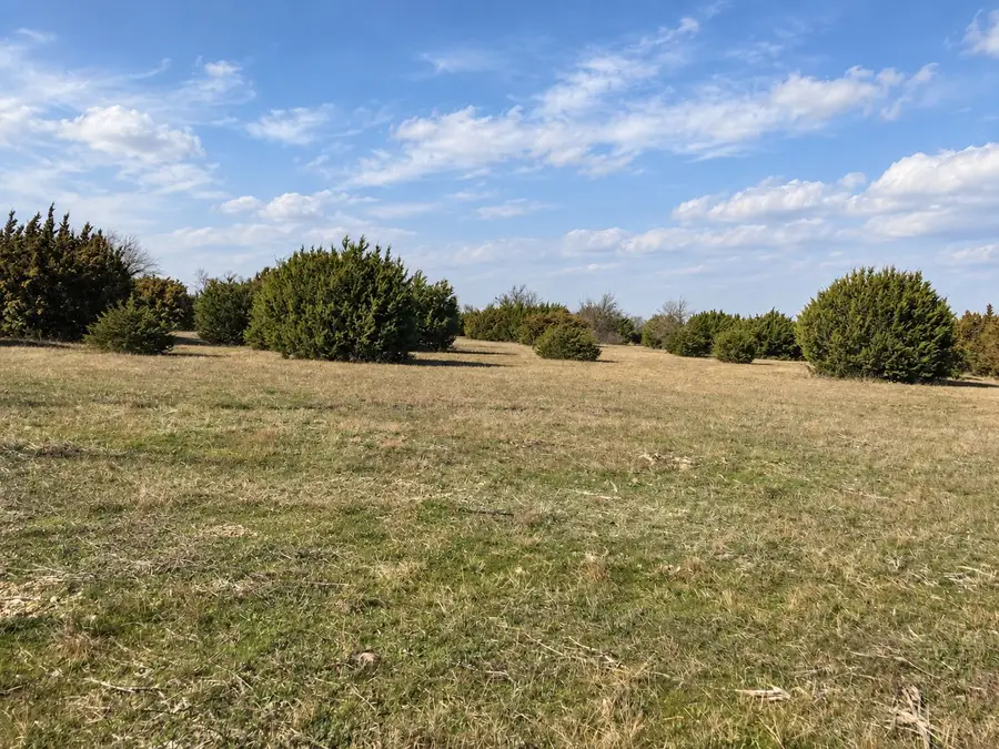 TBD Hcr 1103, Blum, TX 76627 - #2