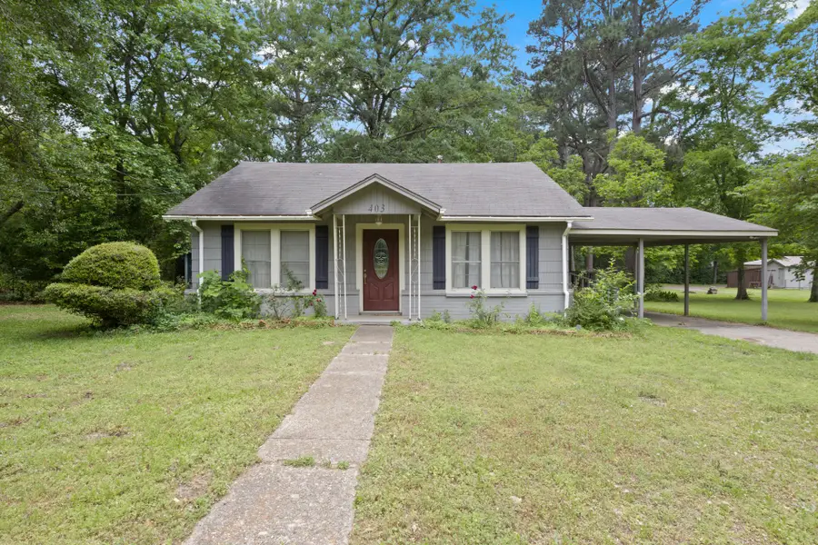 403 Pace Street, Naples, TX 75568 - #3