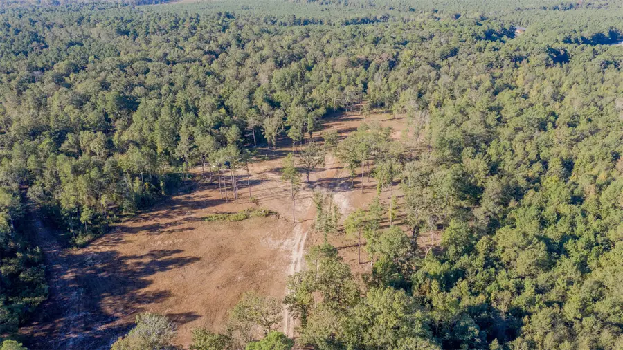 10737 Vivian Airport Road, Vivian, LA 71082 - #2