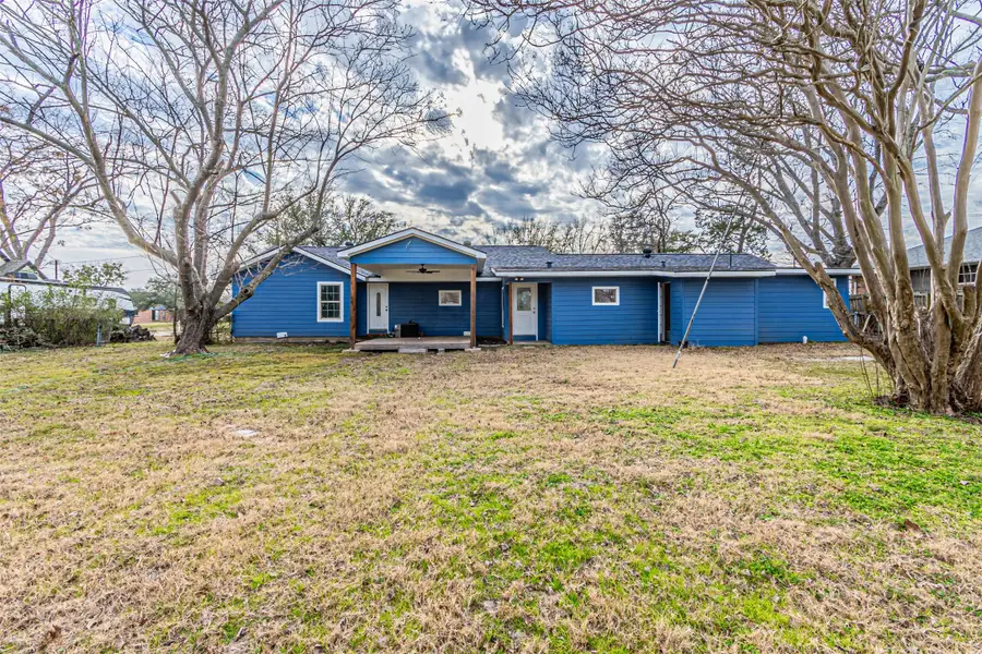 919 Canton Avenue, Wills Point, TX 75169 - #3