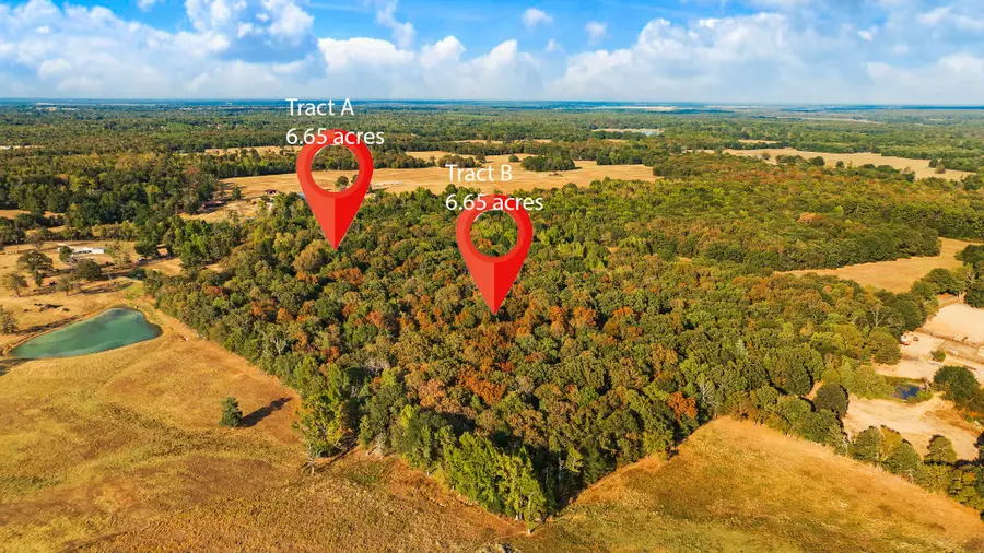 TRACT B Cr 44400, Powderly, TX 75473 - #2