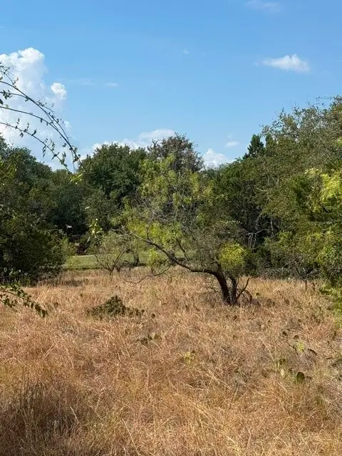 17117 Woodlawn Drive, Whitney, TX 76692 - #2