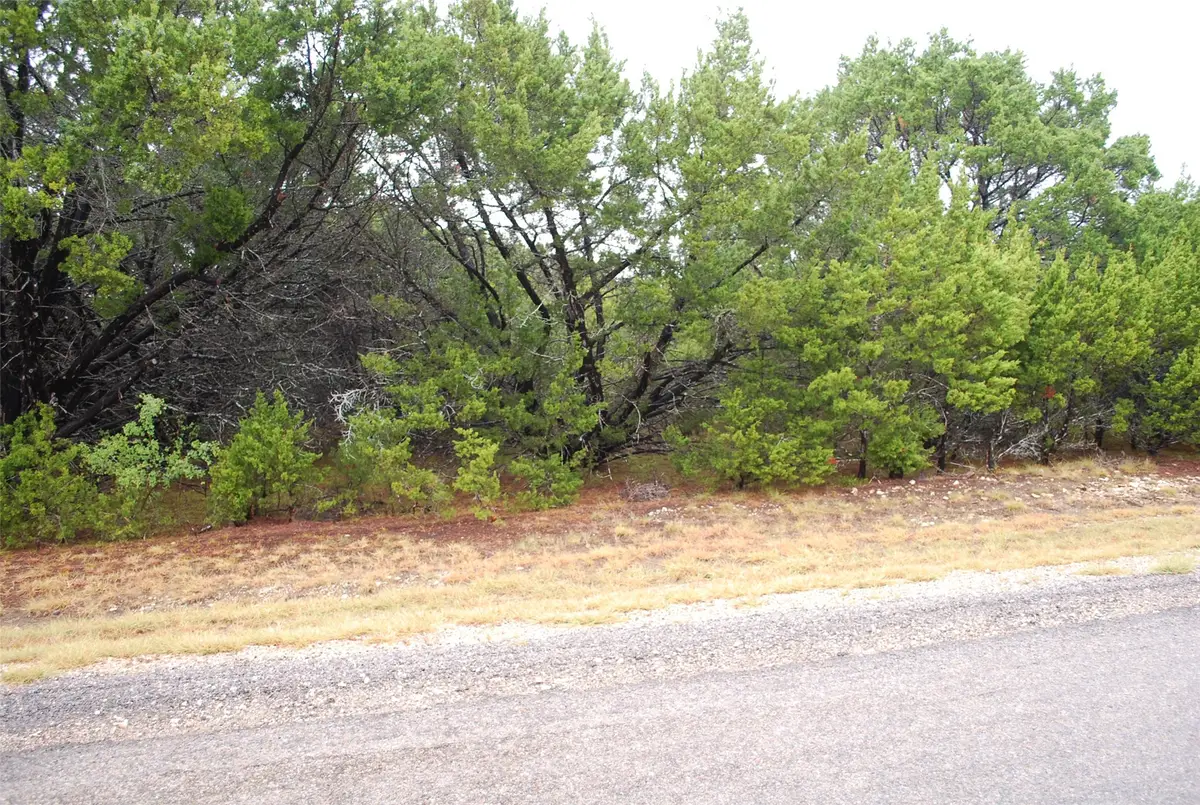 1700 Highland Drive, Whitney, TX 76692 - #1