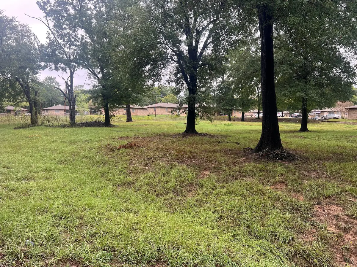654 Fielder, Grand Saline, TX 75140 - #1
