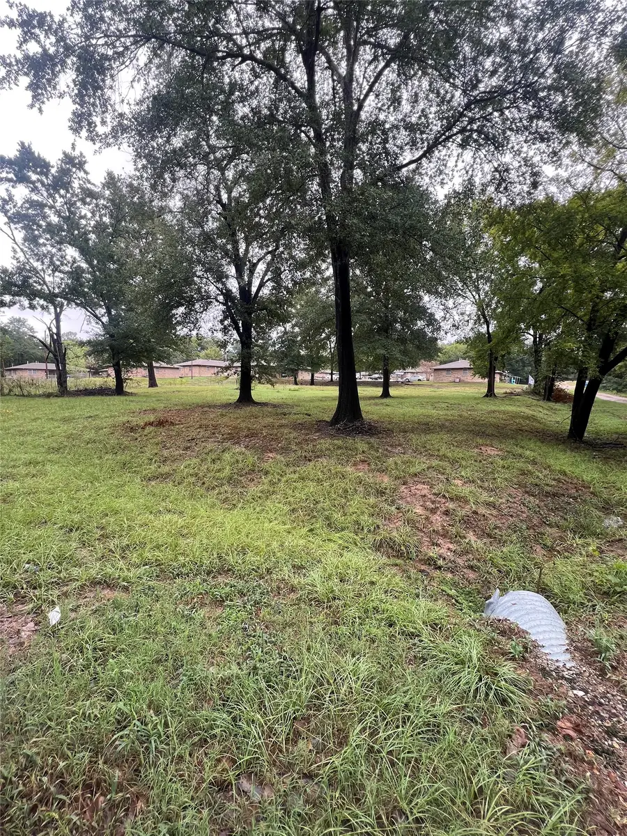 654 Fielder, Grand Saline, TX 75140 - #3