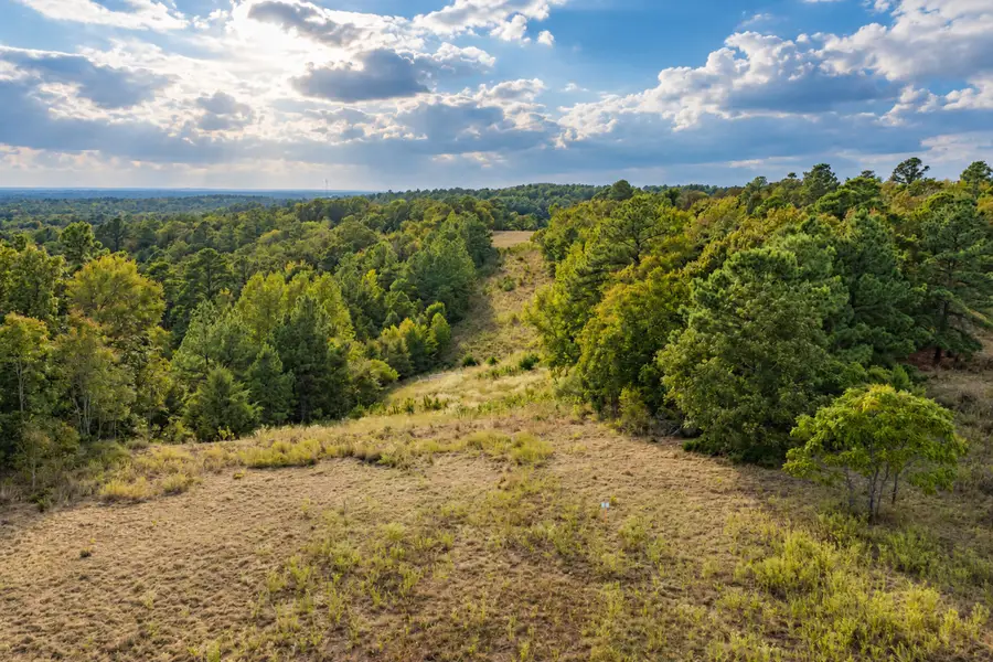 00 Off Of County Road 448, Palestine, TX 75803 - #2