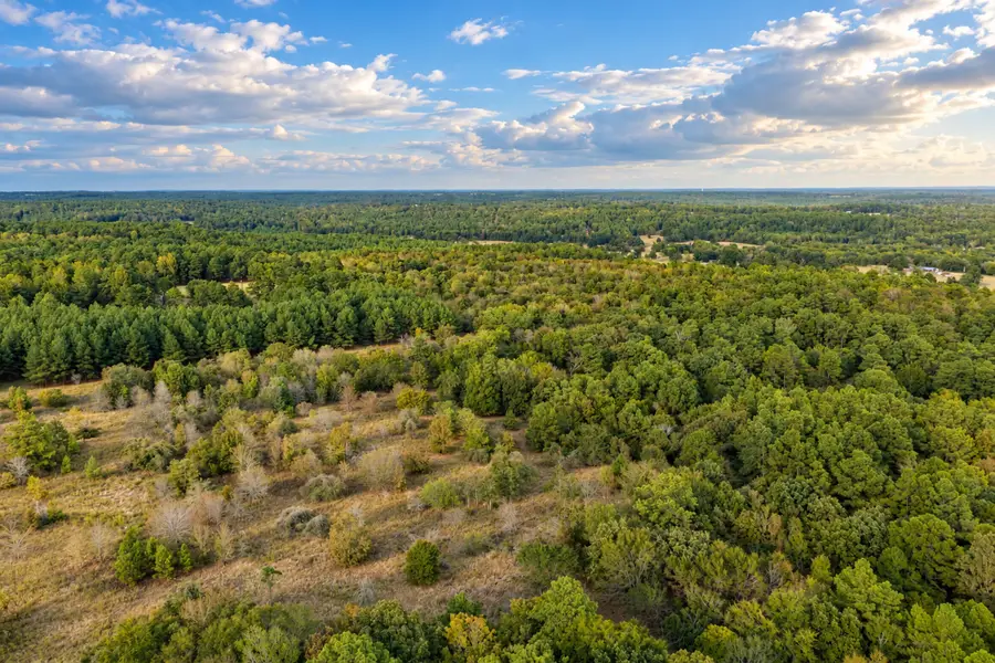 00 Off Of County Road 448, Palestine, TX 75803 - #3
