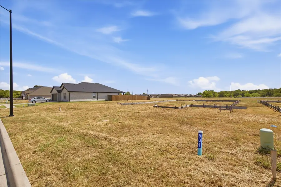 801 Greyson Lane, Greenville, TX 75402 - #2