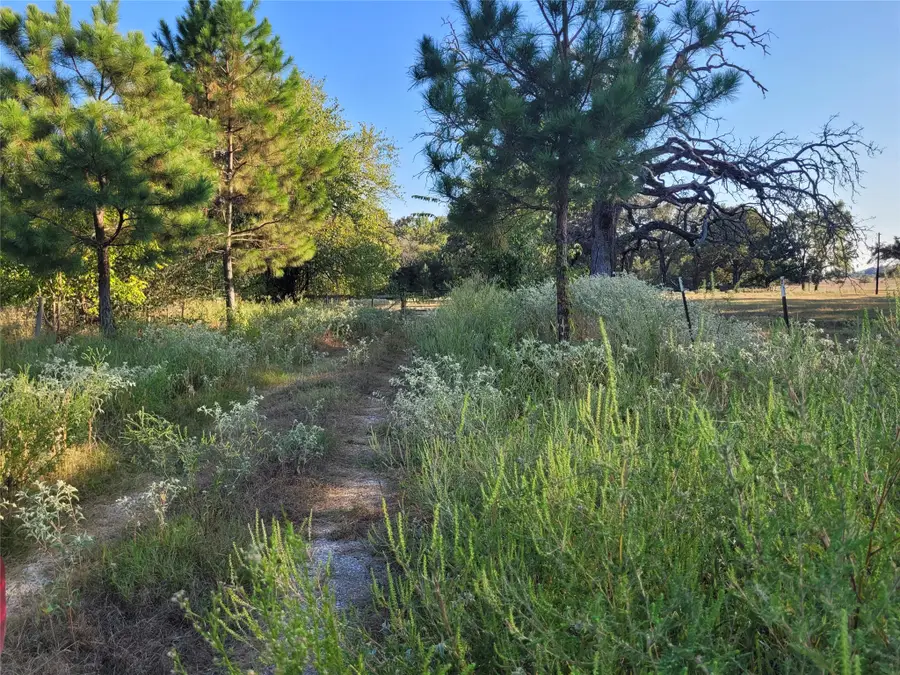 17109 Fm 195, Detroit, TX 75436 - #2