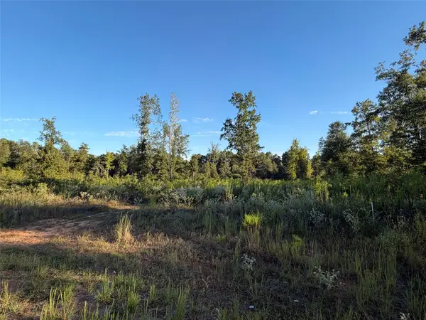 lot 2 Bradleigh Boulevard, Frierson, LA 71027