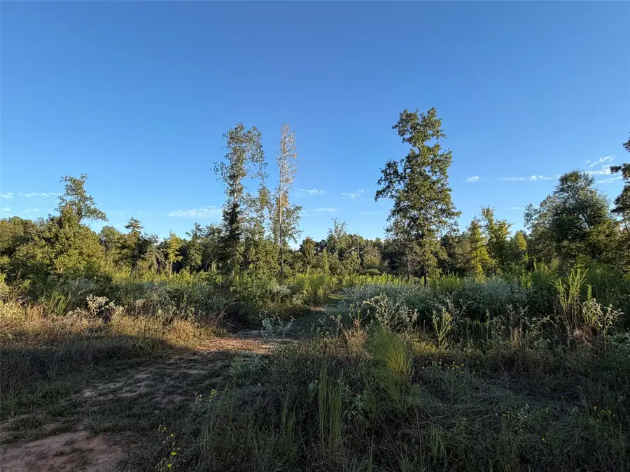 lot 2 Bradleigh Boulevard, Frierson, LA 71027 - #2