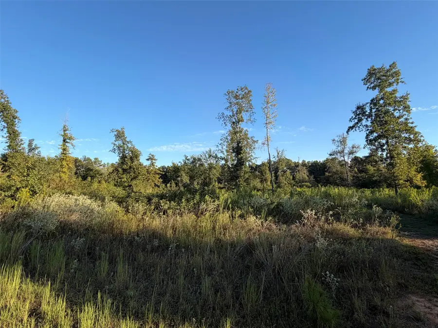 lot 2 Bradleigh Boulevard, Frierson, LA 71027 - #3