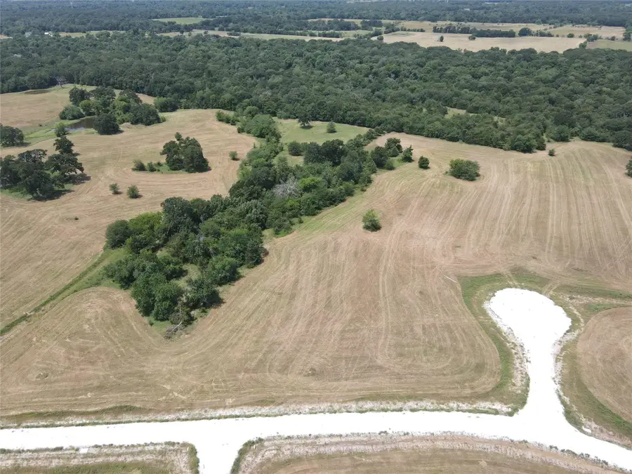 1007 Deer Crossing Trail, Dike, TX 75437 - #2