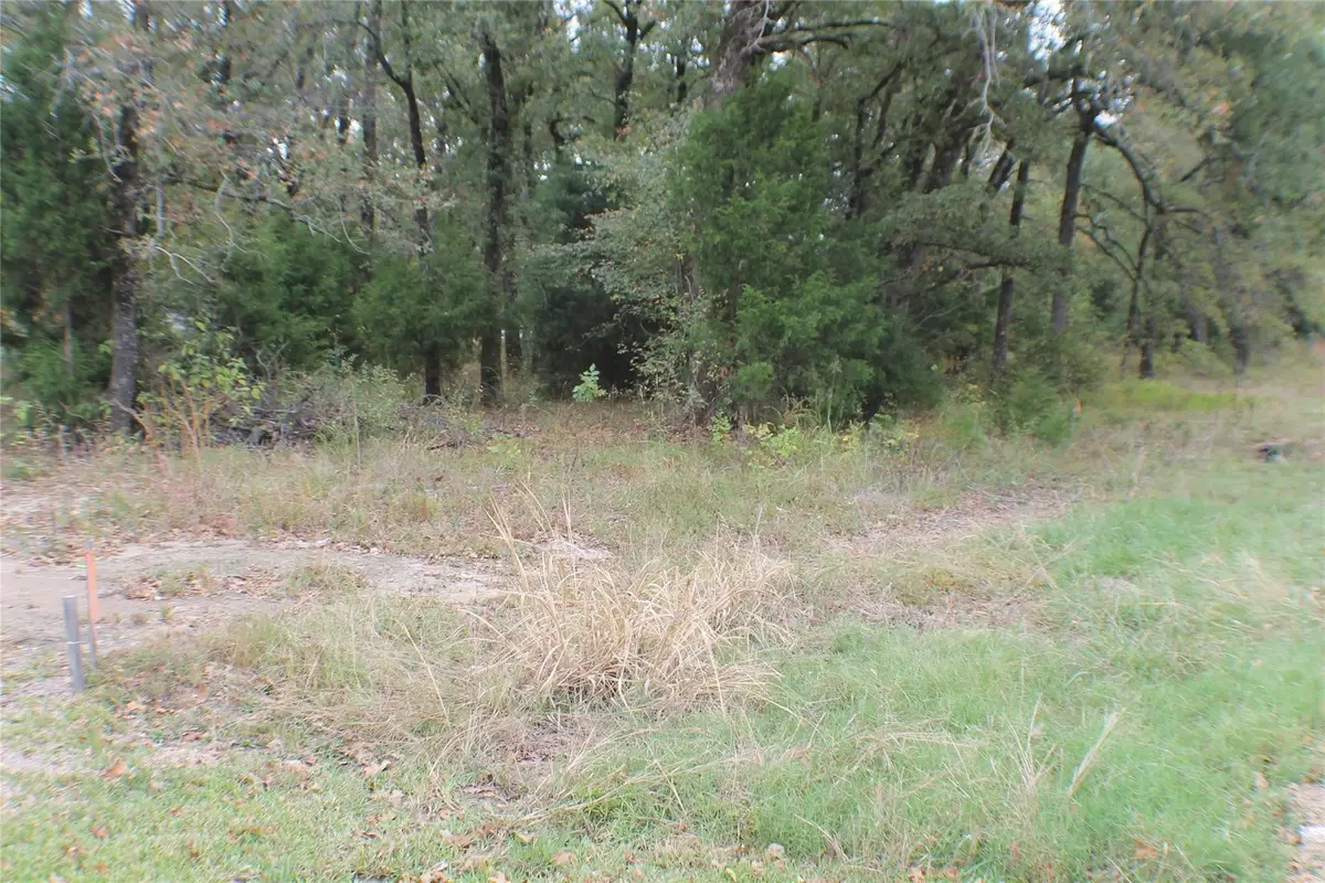 6230 Choctaw Drive, Mabank, TX 75156 - #1