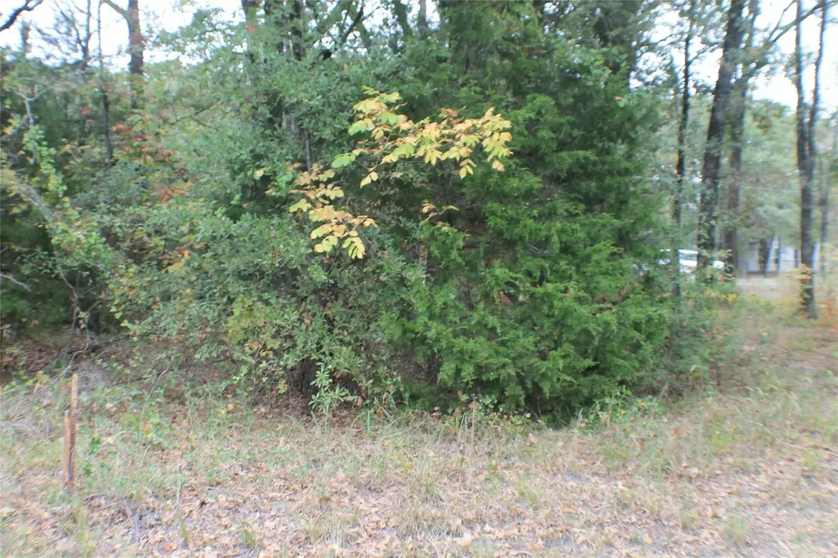 0 Inca Drive, Enchanted Oaks, TX 75156 - #1