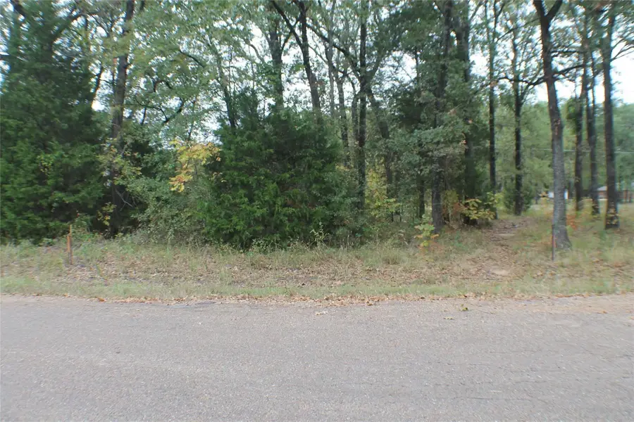 0 Inca Drive, Enchanted Oaks, TX 75156 - #2