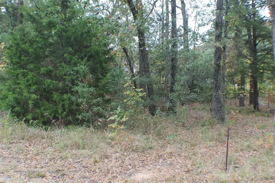 0 Inca Drive, Enchanted Oaks, TX 75156 - #3